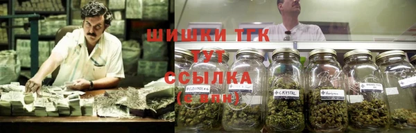 прущие грибы Алексин