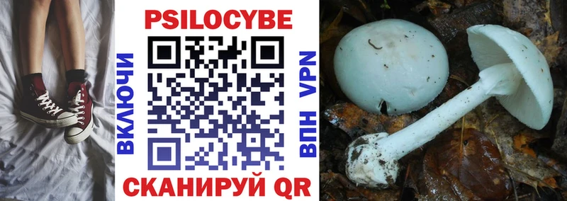 Псилоцибиновые грибы GOLDEN TEACHER  OMG вход  Карабаш  купить закладку 